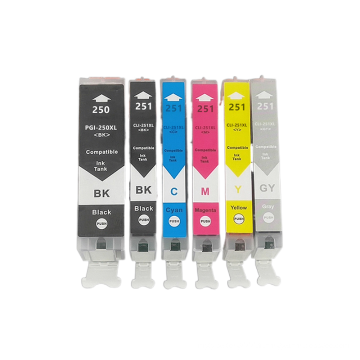 Compatible avec CAN PGI-2550 CLI-251XLINK CARTRIDGE MG5420 MG5520 MG5522 PRISE DE CARTRIDE DE L&#39;INK PROST PRIST